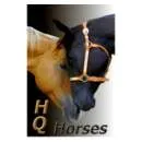 Firmenlogo von HQ Horses - Breeding Stables