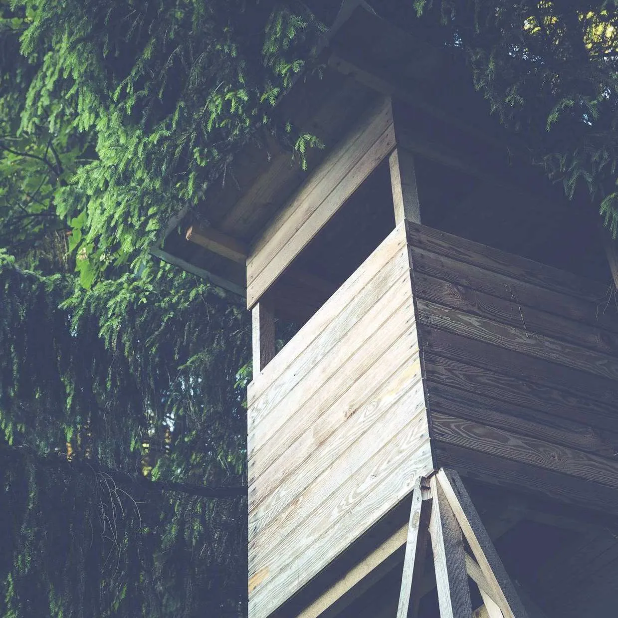 Unternehmen Wildfutterspezialist - Hierner Ramin