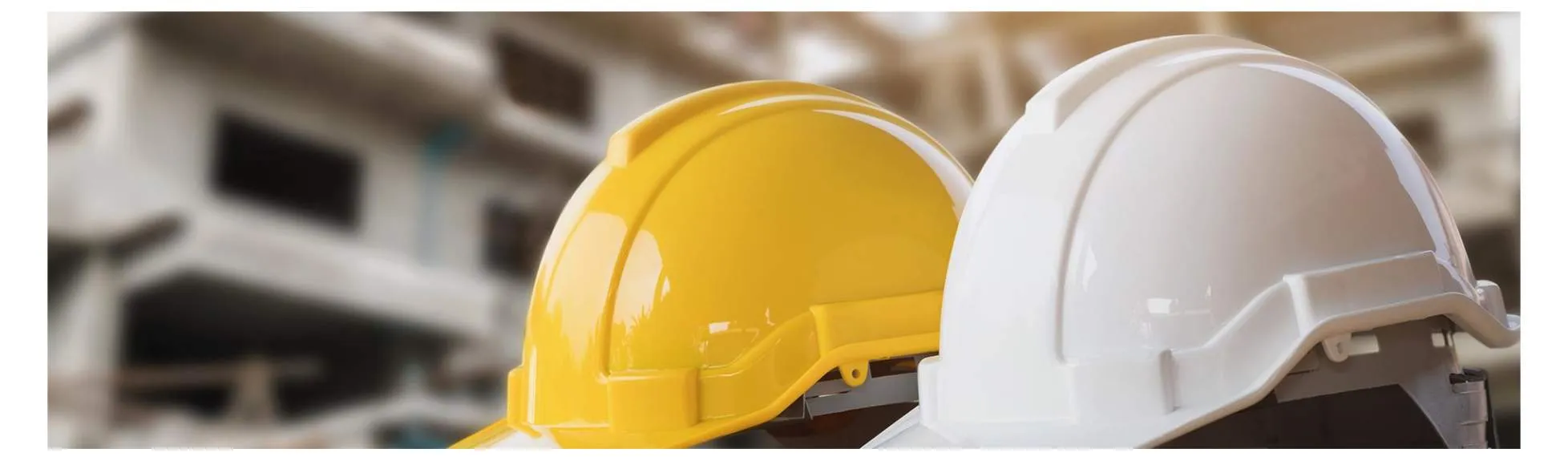 Galeriebild cropped_1587026433_0164647001587026419_781414.jpg