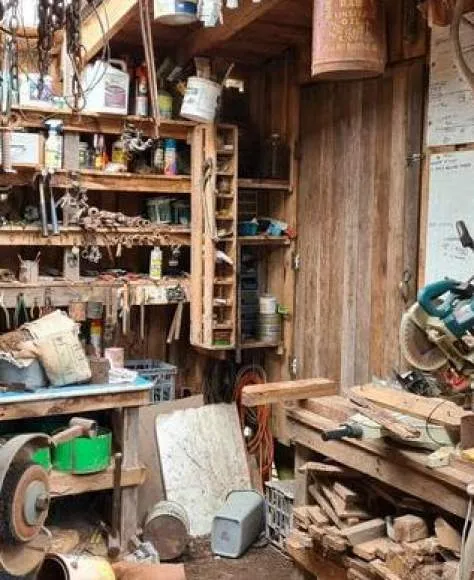 Galeriebild cropped_1747051872_0825902001747051864_790076.jpg