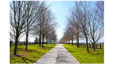 Unternehmen Erlebnis Pferdehof Harmonie