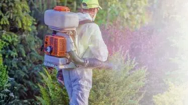 Unternehmen Frömming Schädlingsbekämpfung