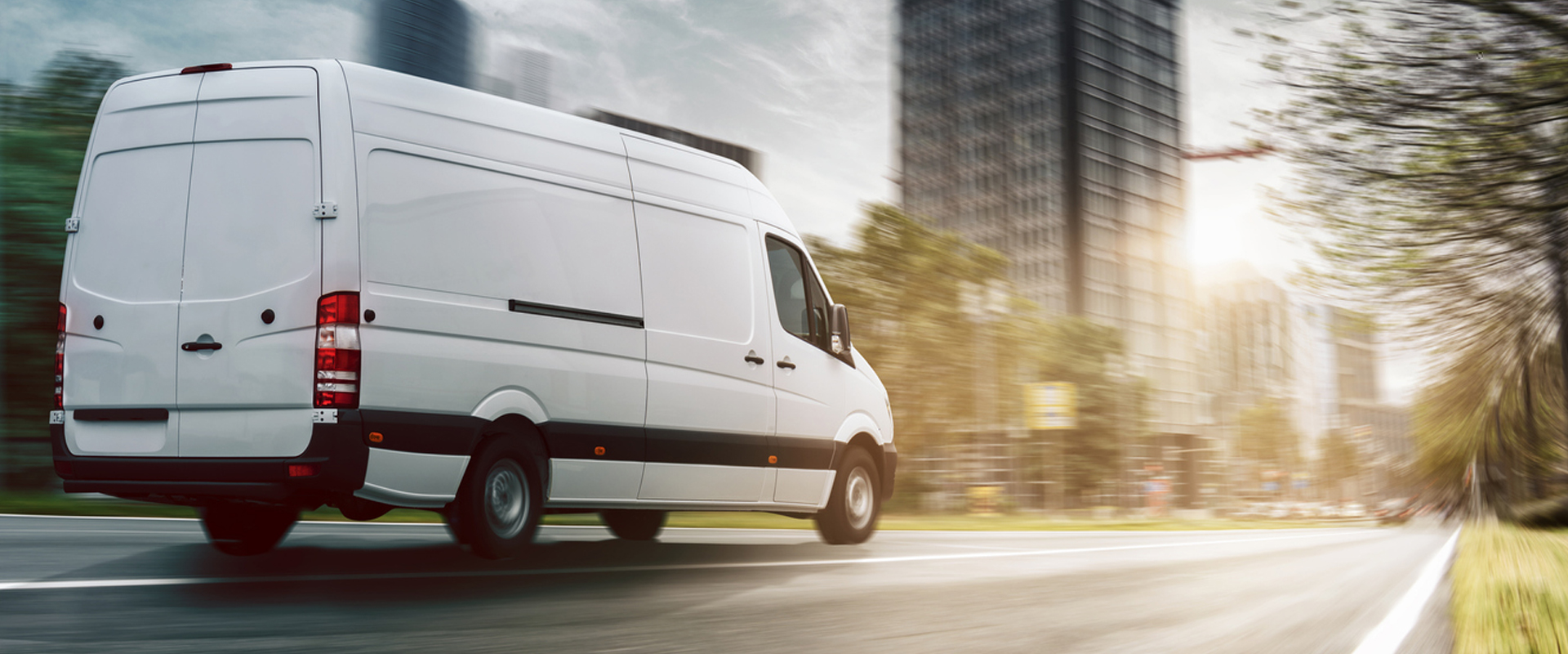 Galeriebild 0725206001764768575_790295.jpg