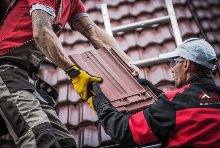 Galeriebild 0359262001761567752_790244.jpg