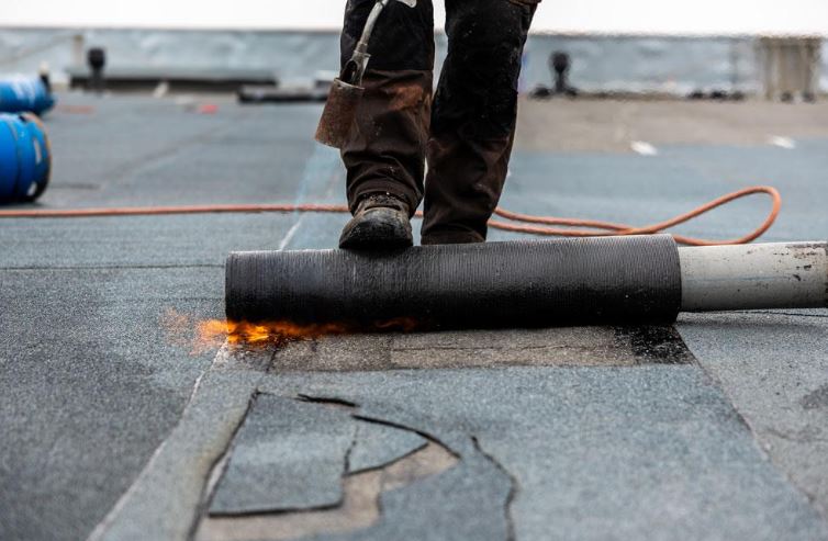 Galeriebild 0368420001761567752_790244.jpg