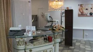 Unternehmen Jestar Hundestudio - Diplom-Hundefriseurin