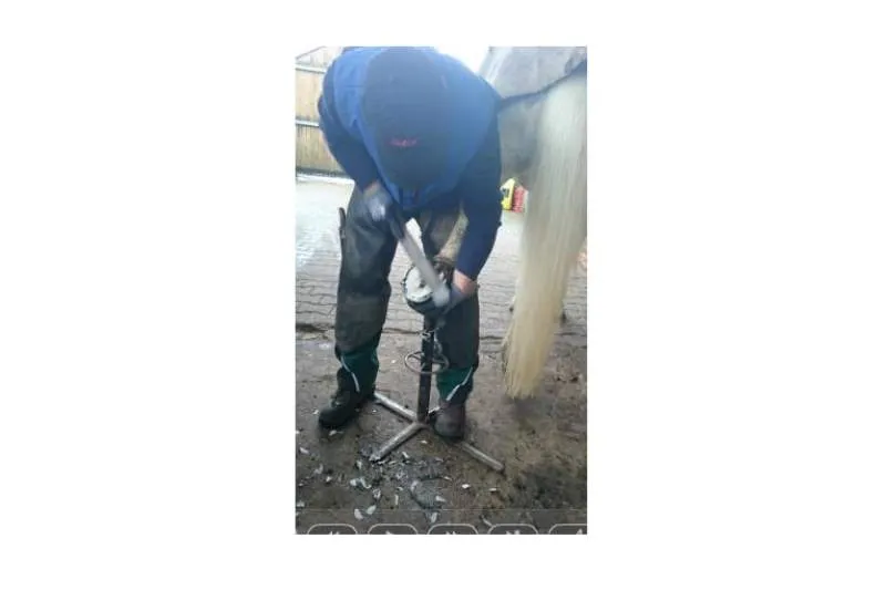 Galeriebild hufschmied-tobias-weiss-6.jpg