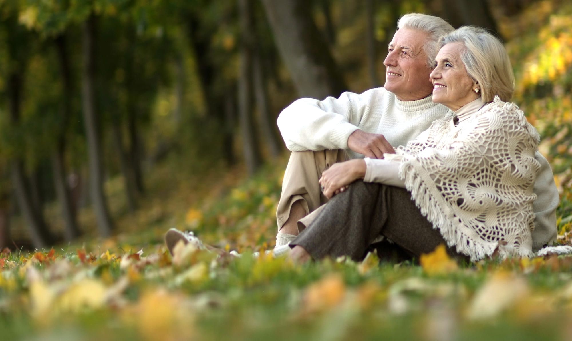 Galeriebild cxCfLccspb.jpg