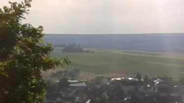 Unternehmen Zuchtbetrieb und Pferdepension Lerchenhof Bauer