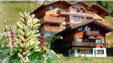 Unternehmen Aletsch-Apartments Chalets & Ferienwohnungen