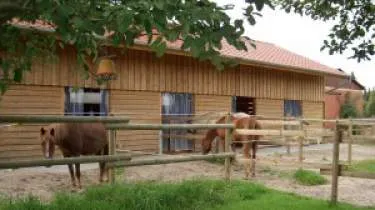 Unternehmen Pferdepension Andrea Alfermann