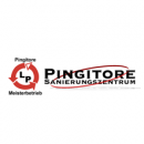 Firmenlogo von Pingitore Sanierungszentrum