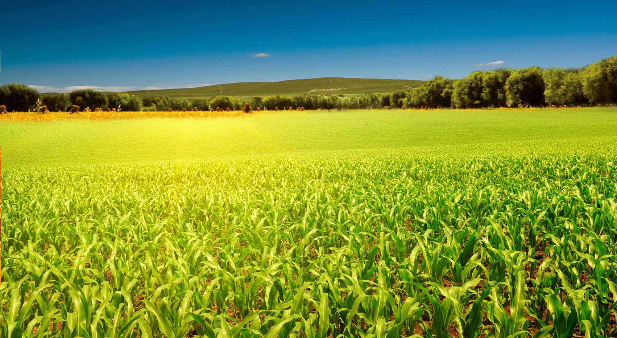 Galeriebild 0028672001751378762_790154.jpg