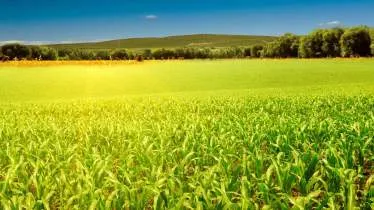 Unternehmen Jörg Sondermann - Fahrzeugservice