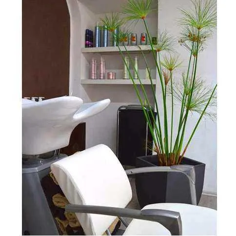 Unternehmen Street Glamour e.U. - Nina Kehraus