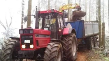 Unternehmen Baggerbetriebe Thelen