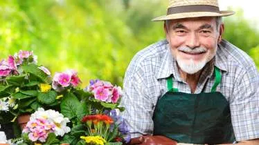 Unternehmen Gartenbau Wollmann