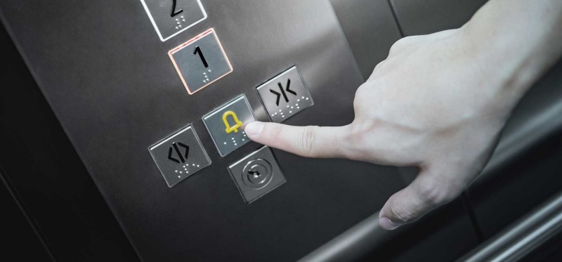 Galeriebild 9yDwOngZCe.jpg