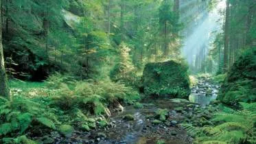 Unternehmen INTER-GEO - - Ing.-Büro für Erdwärme und Grundwasser