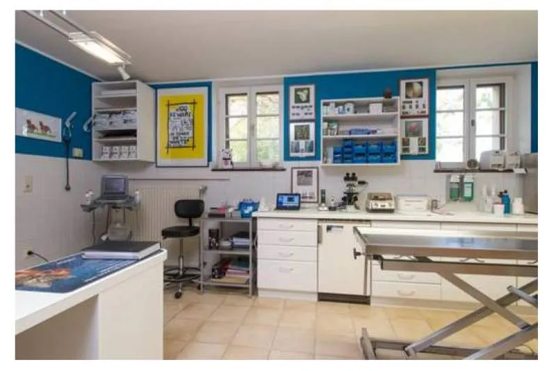 Galeriebild cabinet-veterinaire-marie-claire-krack-weber-vetos-s.á.r.l-5.jpg