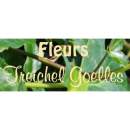 Firmenlogo von Fleurs Treichel Goelles