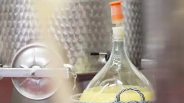 Unternehmen Weingut Ebner