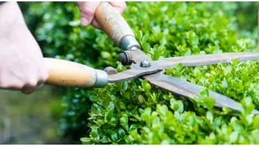 Der Heinzelmann - Arthur Winther