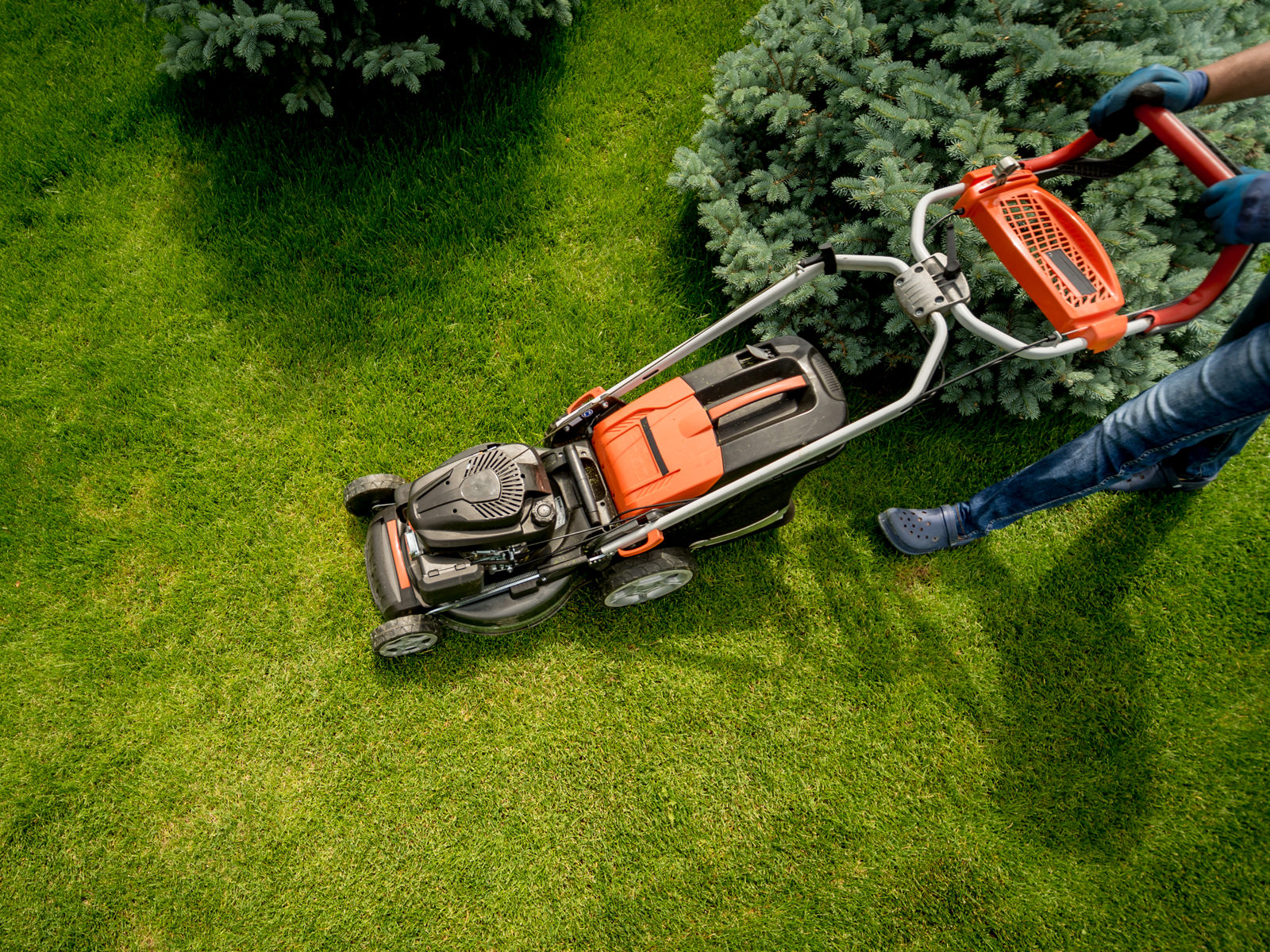 Galeriebild 0734513001757585457_790193.jpg