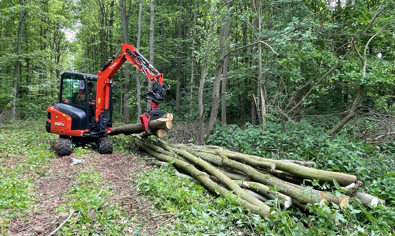 Galeriebild 0744123001757585457_790193.jpg