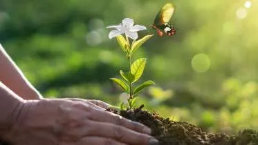 Unternehmen davertgaertner.de