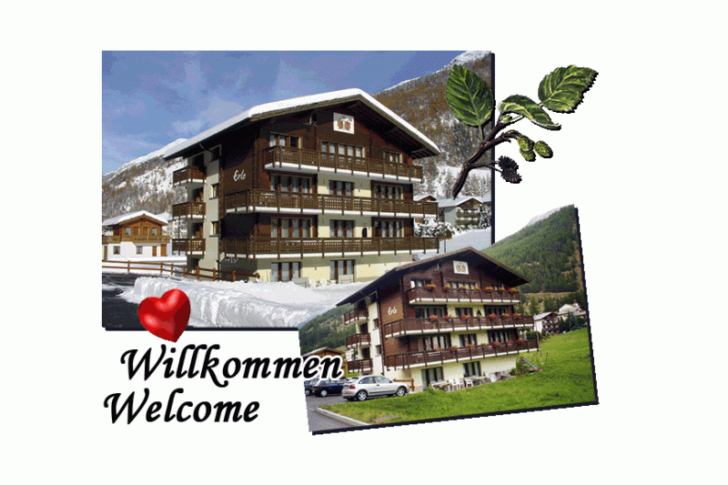 Galeriebild haus-erle-ferienwohnungen-studios-1-1510307152.gif