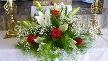 Unternehmen Helg Blumenhaus