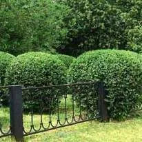 D.G. Tor und Zaunsysteme Dieter Gregorowski Zaun