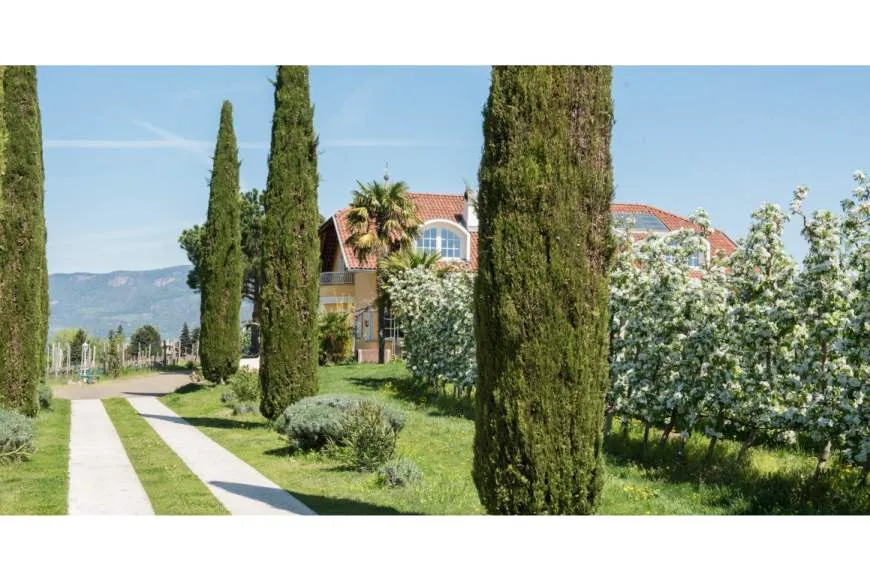 Galeriebild villa-raifer-3.jpg