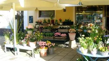 Unternehmen Blumen Robby