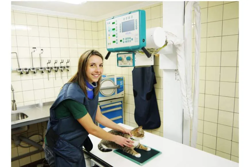 Galeriebild deierenklinik-alzeng-1-1521628988.jpg