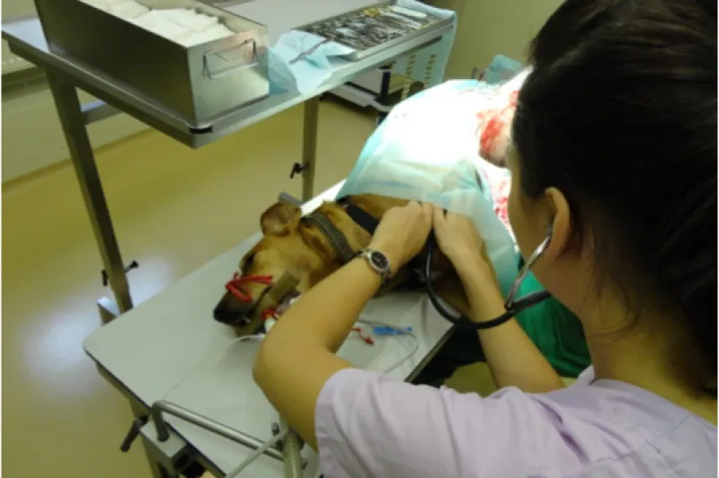 Galeriebild deierenklinik-alzeng-1-1521629114.png