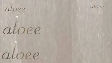 Unternehmen aloee Creativer Blumenschmuck GmbH