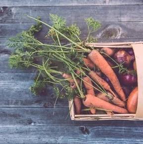 Galeriebild 0465211001747472478_790106.jpg