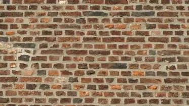 Unternehmen R. Braune Bauunternehmung e.K.