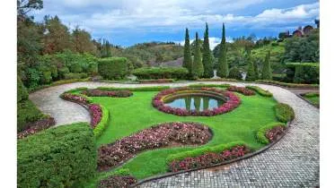 Unternehmen Baumgutachter freier Sachverständiger