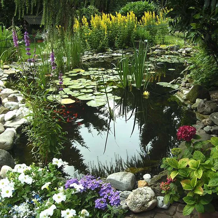 Unternehmen Schubert Garten- und Landschaftspflege - Dieter Pekel