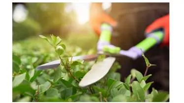 Unternehmen Haus und Garten Reinhardt