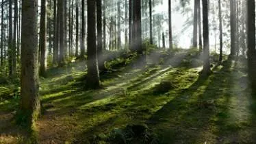 Unternehmen WARU - Waffen Rukaber