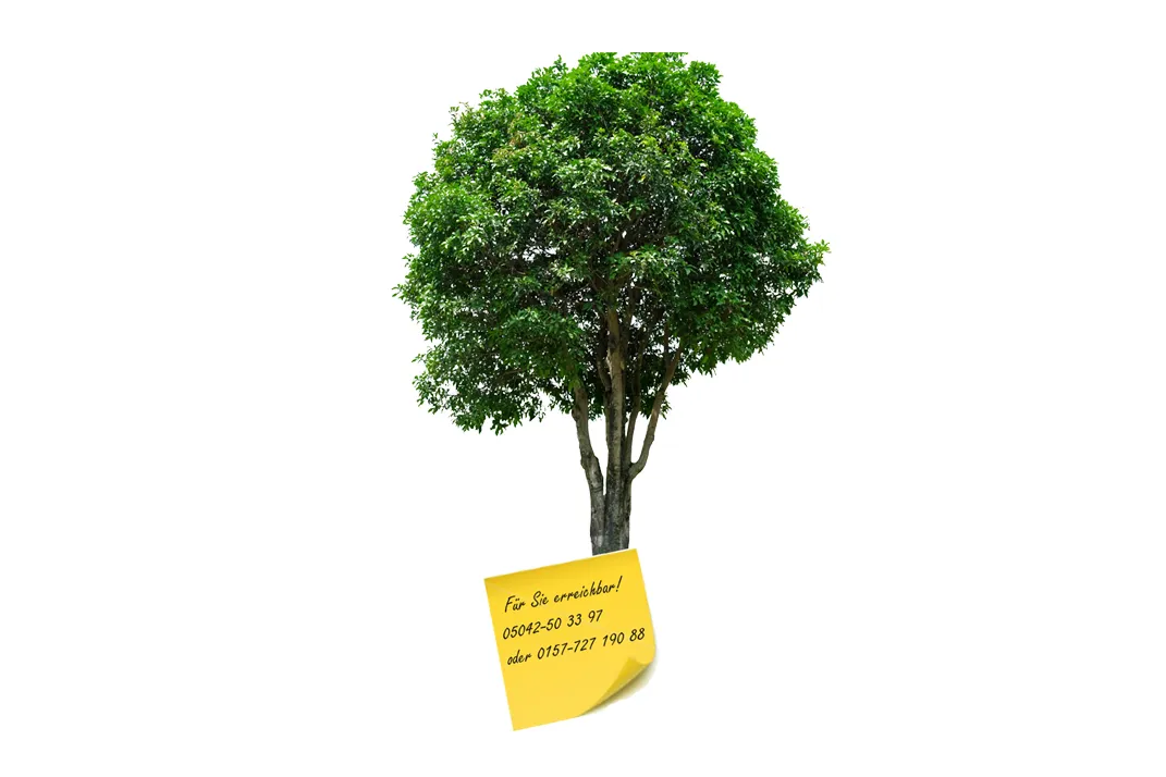 Galeriebild logo_1_1504164713.png