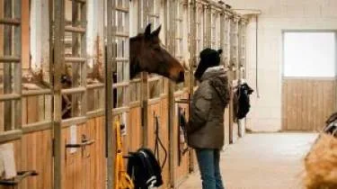 Unternehmen Sherwoodranch - Josef Fuchs