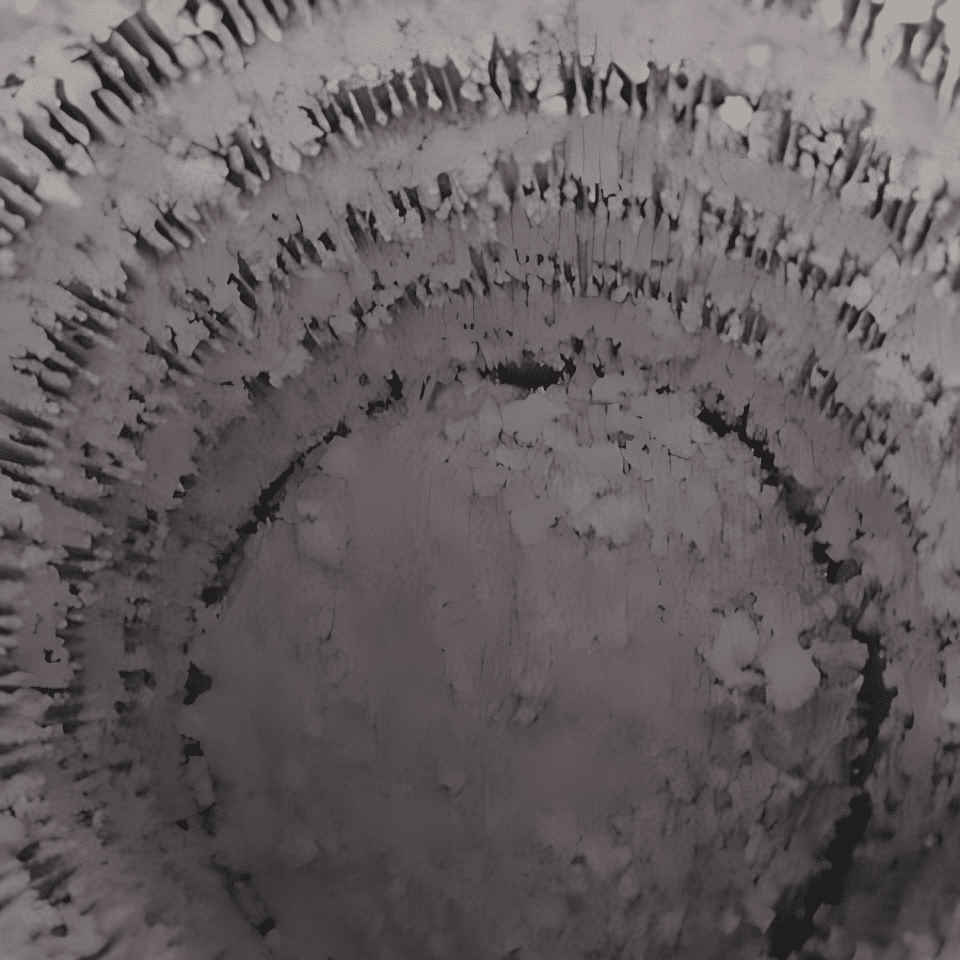 Galeriebild 0720690001764769224_790296.jpg