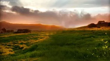 Unternehmen Forellenzucht Flintbek