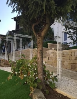 Galeriebild 0304946001750067309_790142.jpg