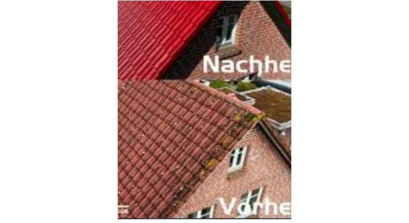 Galeriebild cropped_1739522092_0281808001739522027_789920.jpg